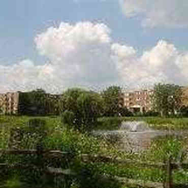 Colonial Village Apartments Itasca Il 60143