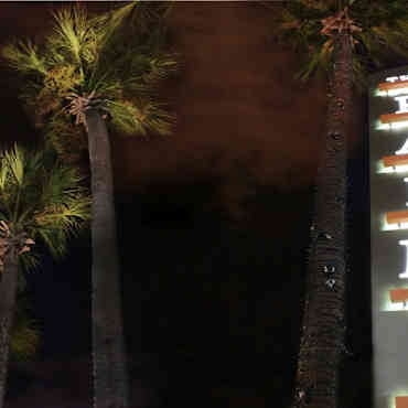 The Palms On Westheimer Apartments Houston Tx 77057
