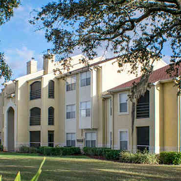 Bridgeview Apartments Tampa Fl 33634