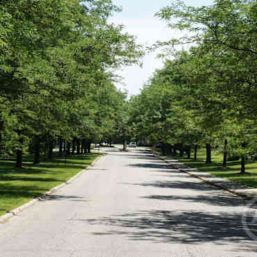 Apple Creek Station Apartments Swartz Creek Mi 48473