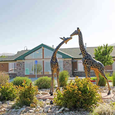Serengeti Springs Apartments West Jordan Ut 84088