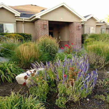 Pleasant Springs Apartments Pleasant Grove Ut 84062