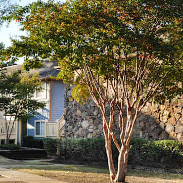 Stonebrook Apartments Memphis Tn 38115