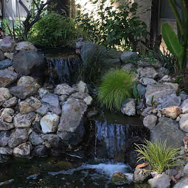 Olive Tree Apartments Norwalk Norwalk Ca 90650