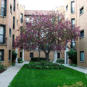 Farwell Apartments Chicago Il 60626