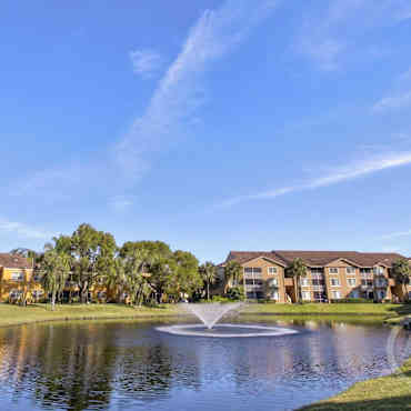 The Oasis At Springtree Apartments Sunrise Fl 33351
