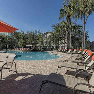 Westly Shores Apartments Tampa Fl 33634