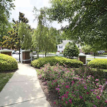Walnut Ridge Apartments Raleigh Nc 27610