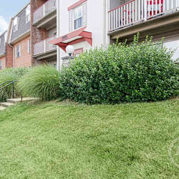 Summer Ridge Apartments Landover Md 20785