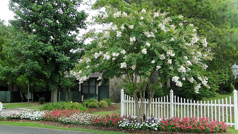 Glenview 2500 Redstone Road Huntsville Al Apartments For Rent Rent Com