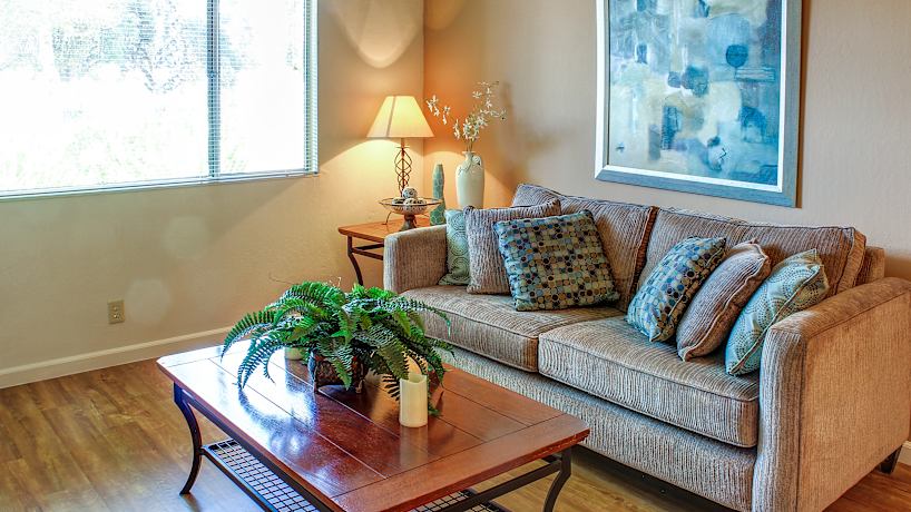 Sundale North And South 39900 Blacow Rd Fremont Ca Apartments For Rent Rent Com