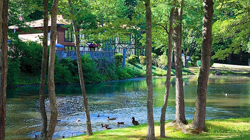 Royal Crest Estates Apartments 1 Newcastle Dr Nashua Nh Apartments For Rent Rent Com
