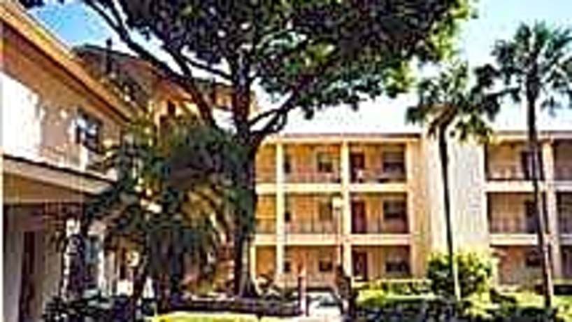 Fountain Court Apartments 600 40th Street North Saint Petersburg Fl Apartments For Rent Rent Com