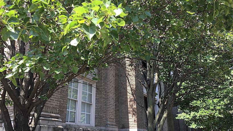 Esplanade Apartments 2525 Eutaw Pl Baltimore Md Apartments For Rent Rent Com