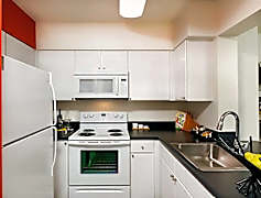 Pet Friendly Apartments In Bluemont Arlington Va Rent