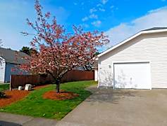 Dallas Or Houses For Rent 102 Houses Rent Com 174
