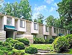 Apartments For Rent Rent Com Homes For Rent