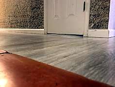 Albuquerque Nm Houses For Rent 226 Houses Rent Com 174