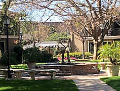 Santa Ana Ca Houses For Rent 442 Houses Rent Com 174