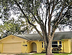 Clearwater Fl Houses For Rent 716 Houses Rent Com 174