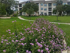 Cedar Park Tx Apartments For Rent 233 Apartments Rent