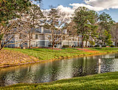Raleigh Nc Apartments For Rent 411 Apartments Rent Com 174