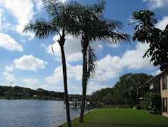 Seminole Heights Apartments For Rent Tampa Fl Rent Com 174