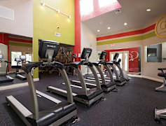Altamonte Springs Fl Apartments For Rent 343 Apartments
