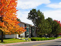 Reno Nv Apartments For Rent 241 Apartments Rent Com 174