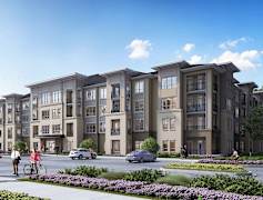 Raleigh Nc Furnished Apartments For Rent 50 Apartments