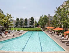 Cupertino Ca 2 Bedroom Apartments For Rent 105