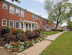 Apartments For Rent Rent Com Homes For Rent