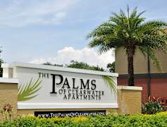 Clearwater Fl 1 Bedroom Apartments For Rent 274