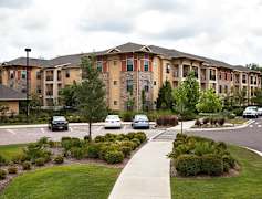 Gainesville Fl Apartments For Rent 68 Apartments Rent
