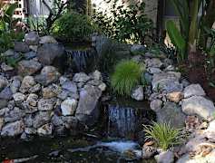 Long Beach Ca Cheap Apartments For Rent 2418 Apartments