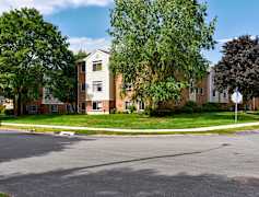 Norwich Ct Apartments For Rent 121 Apartments Rent Com 174