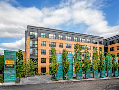 Waltham Ma Apartments For Rent 255 Apartments Rent Com 174