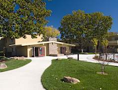 Walnut Creek, CA Apartments for Rent - 151 Apartments | Rent.com®