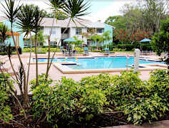 Saint Petersburg Fl Cheap Apartments For Rent 631