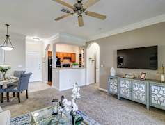 Clearwater Fl Apartments For Rent 639 Apartments Rent