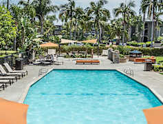 Fullerton Ca Apartments For Rent 317 Apartments Rent Com 174