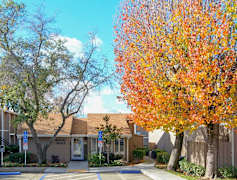 Fair Oaks Ca Apartments For Rent 232 Apartments Rent Com 174