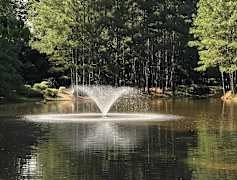 Newnan Pines Apartments For Rent Newnan Ga Rent Com 174