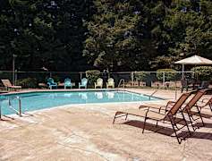 Live Oak Ca Apartments For Rent 79 Apartments Rent Com 174