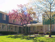Royal Oak Mi Townhouses For Rent 3 Townhouses Rent Com 174