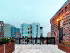 Jersey City Nj Apartments For Rent 838 Apartments