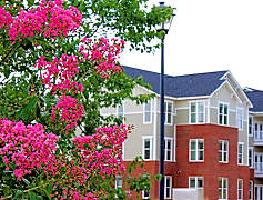 Lexington Nc Apartments For Rent 209 Apartments Rent Com 174
