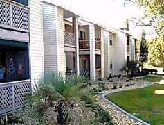 Spring Hill Fl Apartments For Rent 125 Apartments