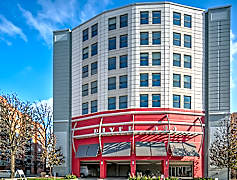 Rosemont Il Apartments For Rent 550 Apartments Rent Com 174