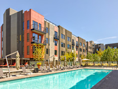 San Jose Ca Apartments For Rent 1180 Apartments Rent Com